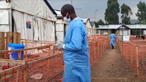 thumbs b c eb09bfa57b97c98bf50c3097cddca774