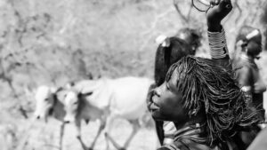 tribe tribu stamm tribu 250