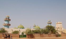 zinder 1