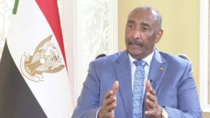 15521901 0 11 1114 627