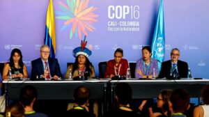 WhatsApp Image 2024 11 06 at 1.30.23 PM 1024x574 1