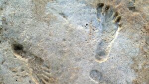 cf68b77f216a3d1563beae2c00bc84e0