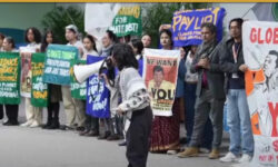 cop29 1