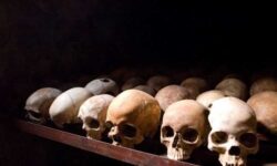 tutsi