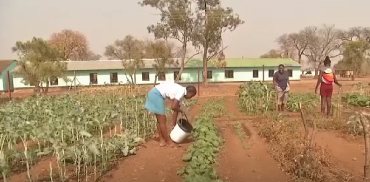 zimbabve