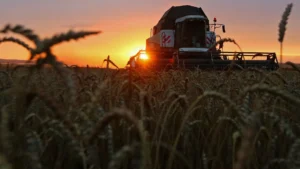 1061944394 0 100 3169 1883 1920x0 80 0 0 fcd4b08e42f5c4c8fbc82eae017c081a.jpg