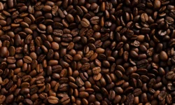 1065242333 0 269 2685 1779 1920x0 80 0 0 ca8e75148f464da03e054c50ec082e01.jpg