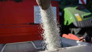 1066532794 0 107 3259 1940 1920x0 80 0 0 f48e9b40d51e19b301bb54785a2e2cf8.jpg