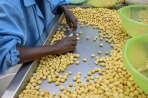 2024110498ab876ae49f4fa7a59e2d2ae3843752 CnbbeeE007013 20241104 CBMFN0A001