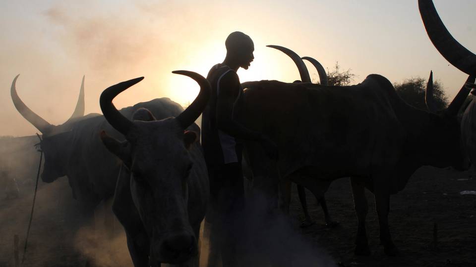 9aee884781e953c47fb6800f48bea33a