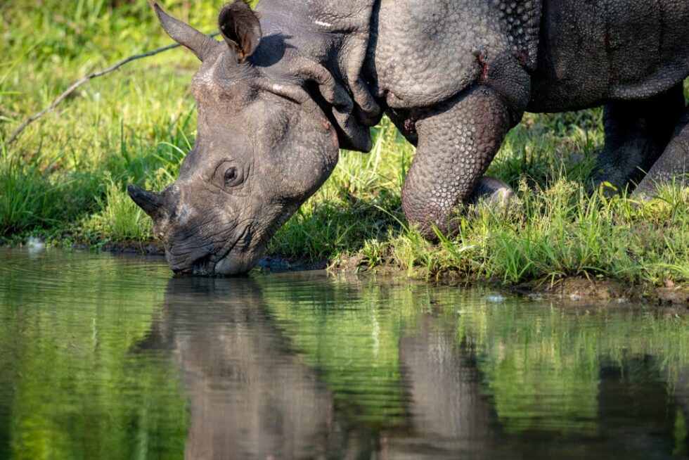 AG1I3422 2 2048x1365 1 1024x683 1