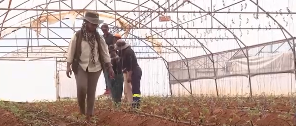 Ekran goruntusu 2024 12 09 161012