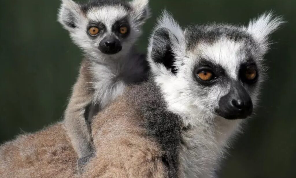 Ekran goruntusu 2 12 2024 101942 www.rfi .fr