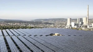 ech21613085 11 696x392 1