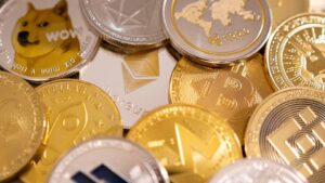 fbb72bd05306a28082a38a7b5c310d14