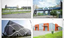 images 6