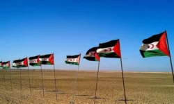 sahara occidental drapeaux 696x392 1