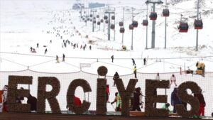 thumbs b c 11f9d8f84e50f953b8de404ac43c4d76