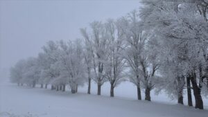 thumbs b c 60be443a7be478ddd865db26656baa63