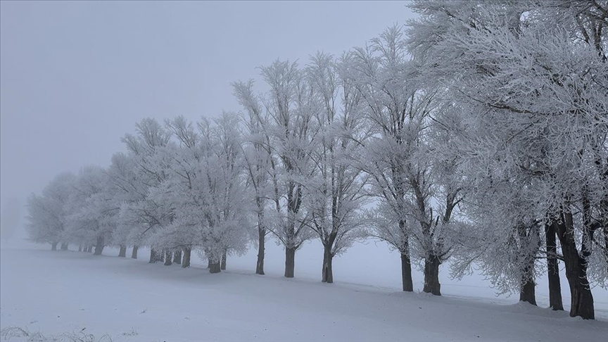 thumbs b c 60be443a7be478ddd865db26656baa63