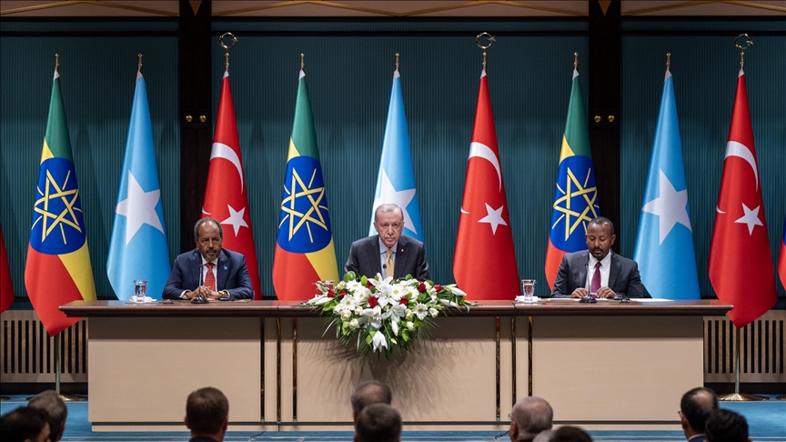 thumbs b c e506c138e53f637e2db1890d1236f915