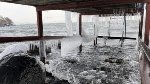 thumbs b c f00f2327365c2604925946d122ae206f