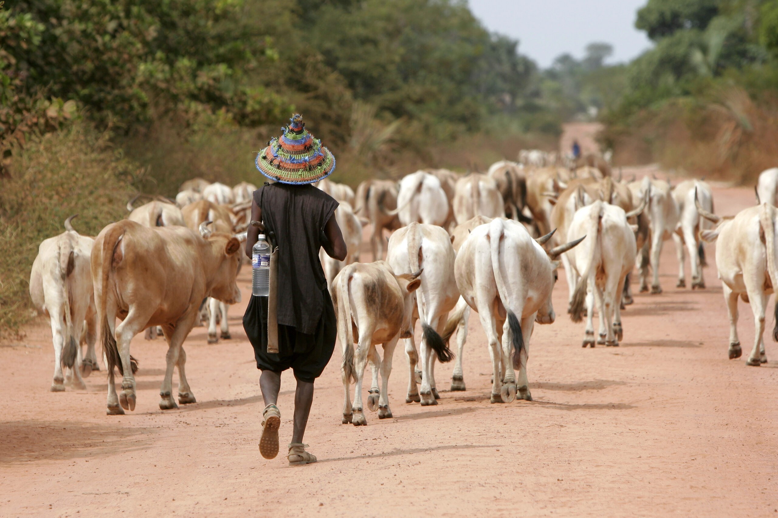 gettyimages 1219946870 scaled