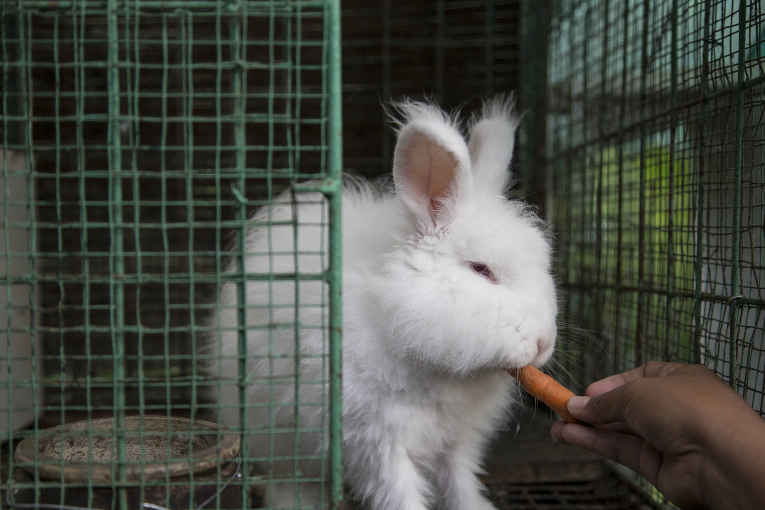 gettyimages 610079438 20 1 scaled