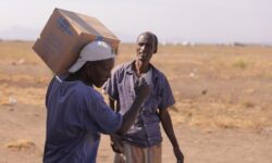 144cbfb3d3bd22a48efd05eb54b6ba5127ef30b1d83d3ff1b44e739c14e2f8ba