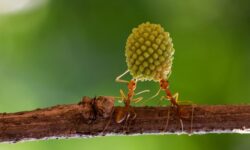 1746802222958 zphk3 gettyimages 1280919069