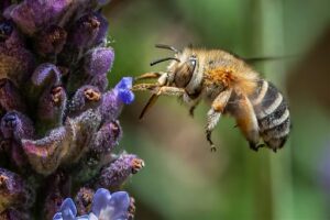 1747830305804 t6biis gettyimages 1313100355