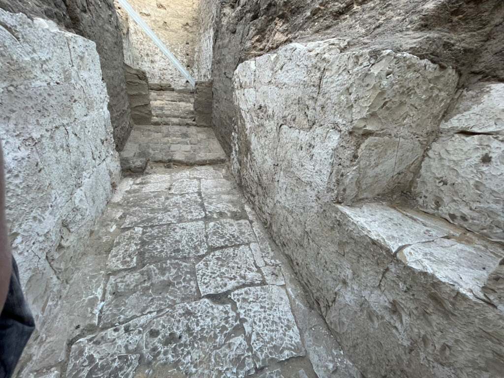 2025 03 27t205914z 1710828516 rc256canytaf rtrmadp 3 science tomb egypt