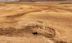 2025 04 28t203558z 1894322387 rc2lzdawu8ow rtrmadp 3 usa trump farm water main