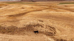 2025 04 28t203558z 1894322387 rc2lzdawu8ow rtrmadp 3 usa trump farm water main