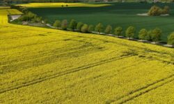 2025 05 15t080019z 1248118609 rc2p7eat5fzq rtrmadp 3 germany politics climate change