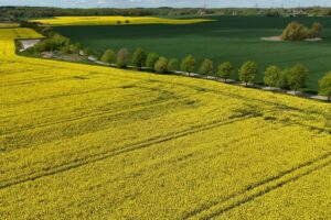 2025 05 15t080019z 1248118609 rc2p7eat5fzq rtrmadp 3 germany politics climate change