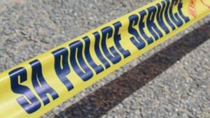 20973676 0 69 695 391