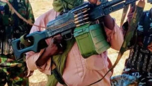 21459239 0 112 1080 608 main