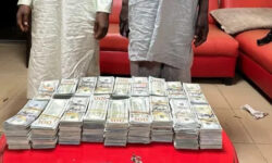 9ce45593f42493f58e4e74223f0d263c06bded5cf1f728c06267618988c82d13 main