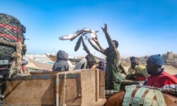 senegal fishing natural gas 10537