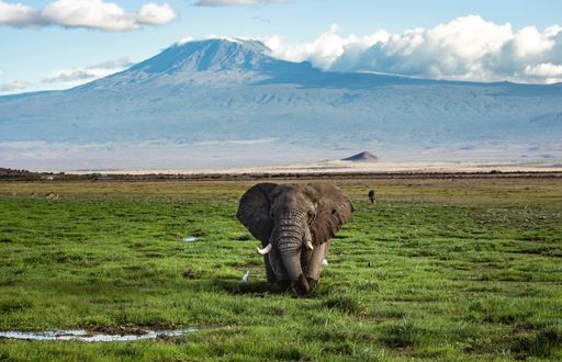 0253f8c16bfa0e9e18a058f7ce4258834cf64a042c7da6f7c9dd26e906641244