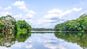 04e9c9eb457d4393cdb822bb0e919df1925485376b792ae22154d658ca5f206f main