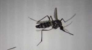 0e477f3023247d71df2cc7d869aefac4ca21e35700fe3983c3354594e08e0c95