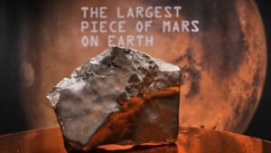 1752386450037 8uqybs d494b5f298fff02ef12ea4303b04a179e869b18f4e2ebec03543d8bb8245ecc0