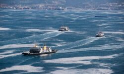 1752753116656 kf1q6 3f75df525b40c87bcd90537e28e5aad01ba4722f587204fa3151ccb2988f9703