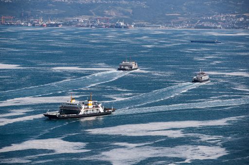 1752753116656 kf1q6 3f75df525b40c87bcd90537e28e5aad01ba4722f587204fa3151ccb2988f9703