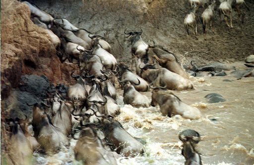 1999 08 03t120000z 946094087 rp1drilulmaa rtrmadp 3 kenya feature