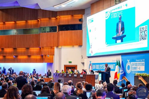 6b6f0c82c92bdbe44f102d8896d91fff3ac4186f6f923f87ab7790c86d20ff2e