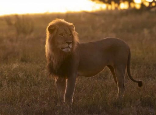 aa4f988b54f112d082a368b82187d81891fe2cebc96efbbb06baa63968e36881