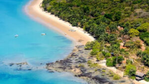 cfc0165be0819d36a787a7f54d7166b87af68f8c4f4adc88b4a1f73b5bd6b09d main